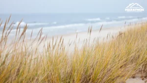 Beach scene with a focus on foreground dune grass, blurry ocean waves in the background, and a marathon petroleum logo in the corner.